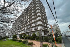 南門真ハイライフ11階　中古 マンション