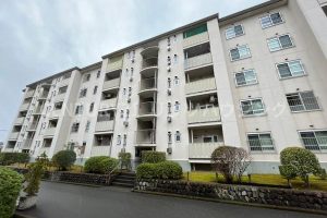藤阪ハイツD六棟　中古 マンション